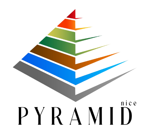 Pyramid Nice Company Limited